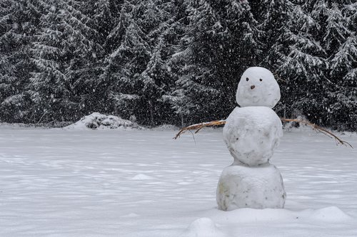 winter  snow  snowman