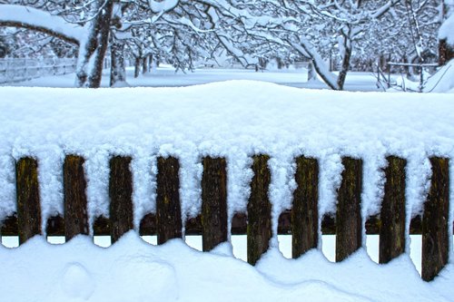 winter  snow  garden