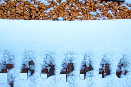 winter  snow  garden