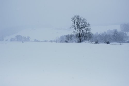 winter  snow  landscape