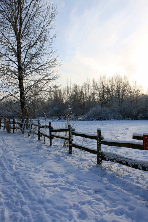 winter  landscape  snow