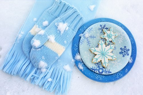 winter  snow  cookies