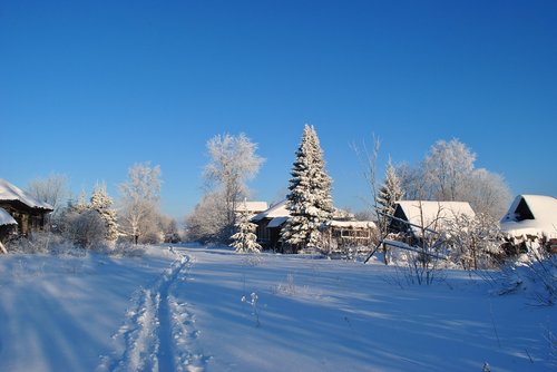 winter  snow  landscape