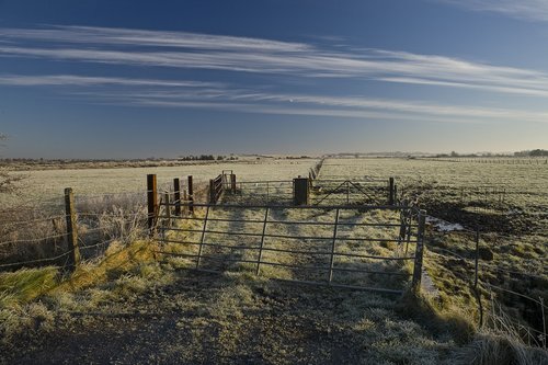 winter  frost  field