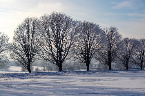 winter  wintry  nature