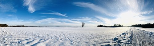 winter  snow  nature