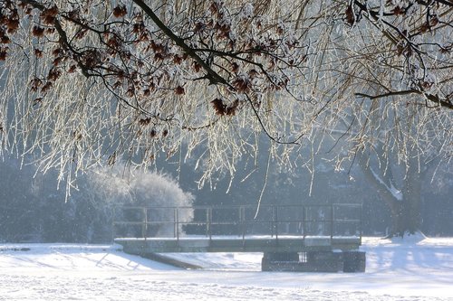 winter  frost  park
