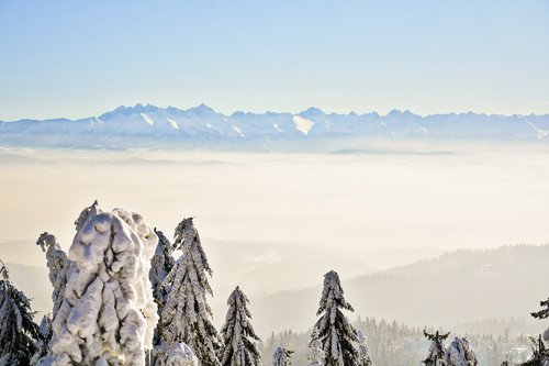 winter  snow  mountains