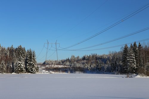 winter  snow  frost