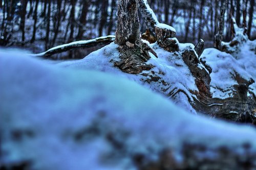 winter  snow  germany