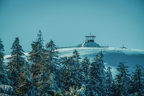 winter  ski area  panorama