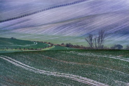 winter  snow  nature