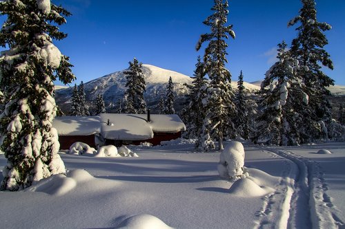 winter  snow  storkletten