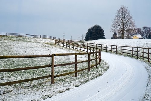 winter  landscape  snow