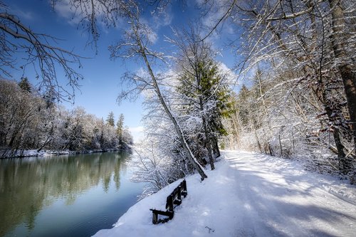 winter  snow  nature