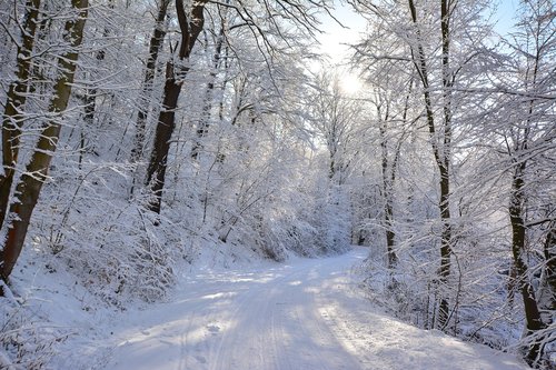 winter  away  snow