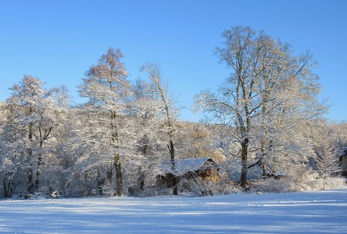 winter  parklandschaft  snow
