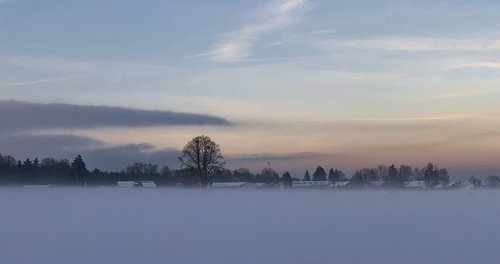 winter  snow  nature