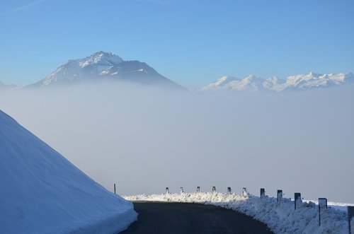 winter  snow  fog