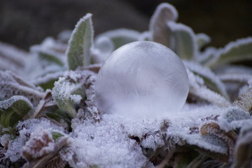 winter  soap bubble  frozen