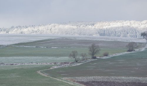 winter  landscape  snow