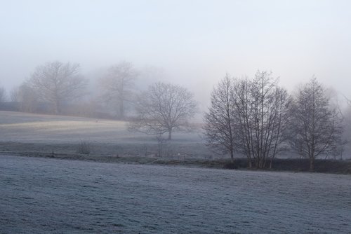 winter  mist  fog