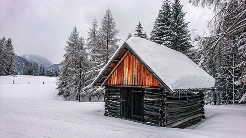 winter  snow  forest