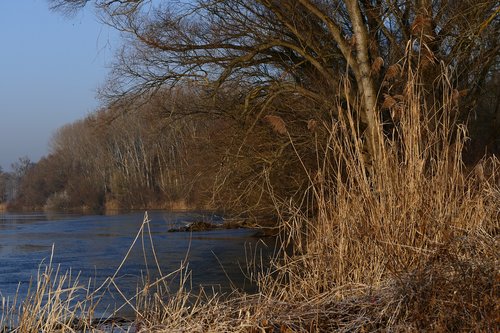 winter  nature  shore