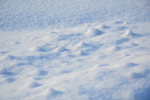winter  snow  field