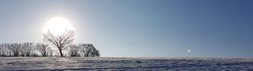 winter  landscape  snow