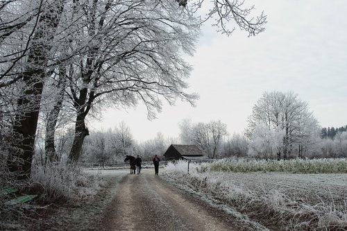 winter  wintry  ripe