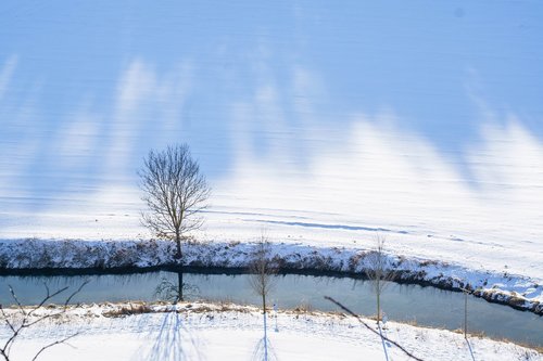 winter  snow  nature