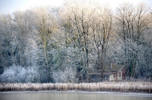 winter  landscape  cold