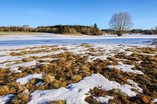 winter  nature  landscape