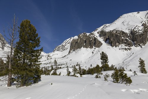 winter  mountains  landscape