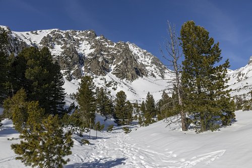 winter  mountains  landscape