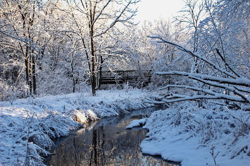 winter  bridge  water