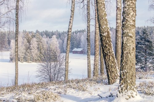 winter  winter landscape  nature