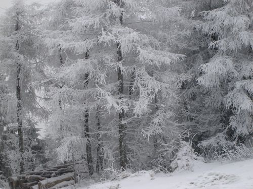 winter mountains snow