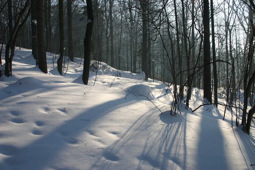 winter  mountains  snow