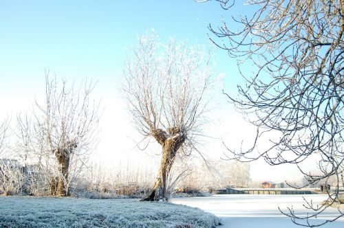 winter snow wintry