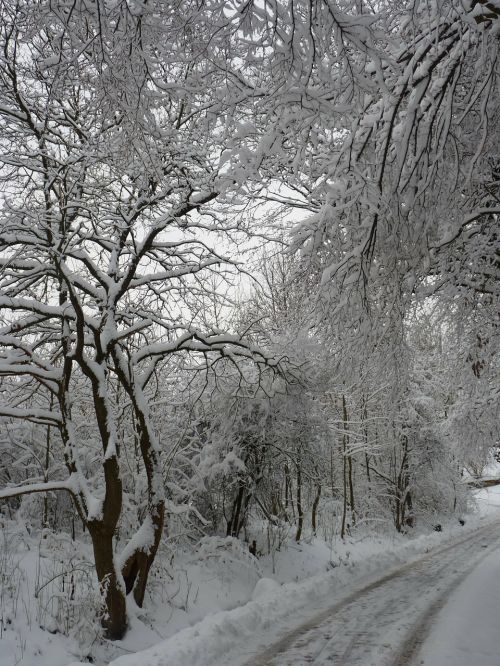 winter landscape snow