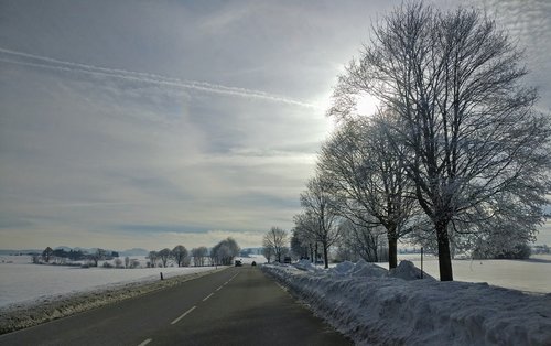 winter  winter scene  road