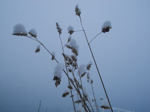 winter snow frozen