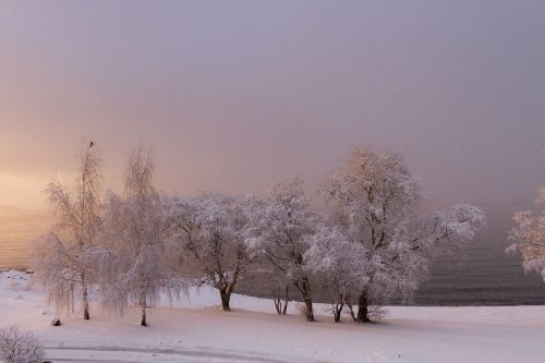 winter sea beach