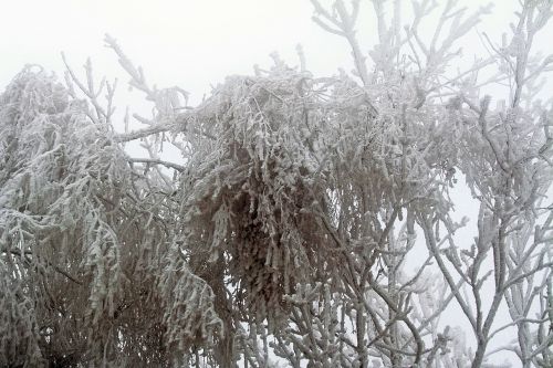 winter frozen icing