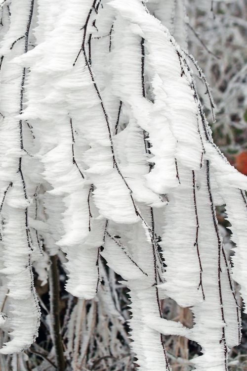 winter frozen icing