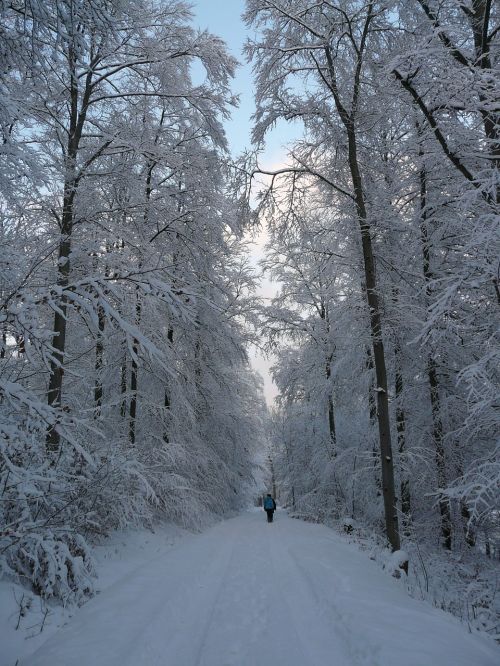 winter wintry winter hike