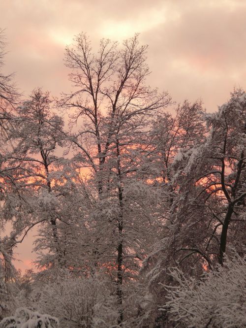 winter wintry snow