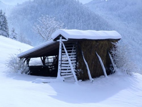 winter white hayrack